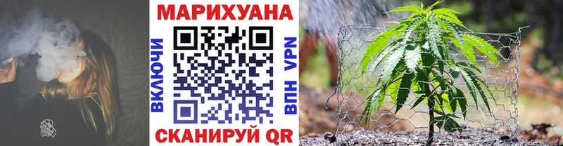блэк спрут ссылки  Нестеровская  Шишки марихуана Amnesia 